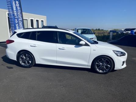 FORD Focus SW 2.0 EcoBlue 150ch ST-Line BVA à vendre à Châteauroux - Image n°4