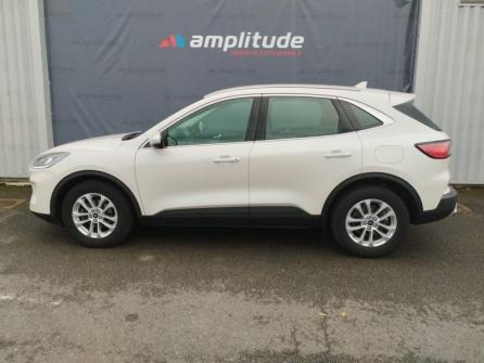 FORD Kuga 2.0 EcoBlue 150ch mHEV Titanium à vendre à Nevers - Image n°8